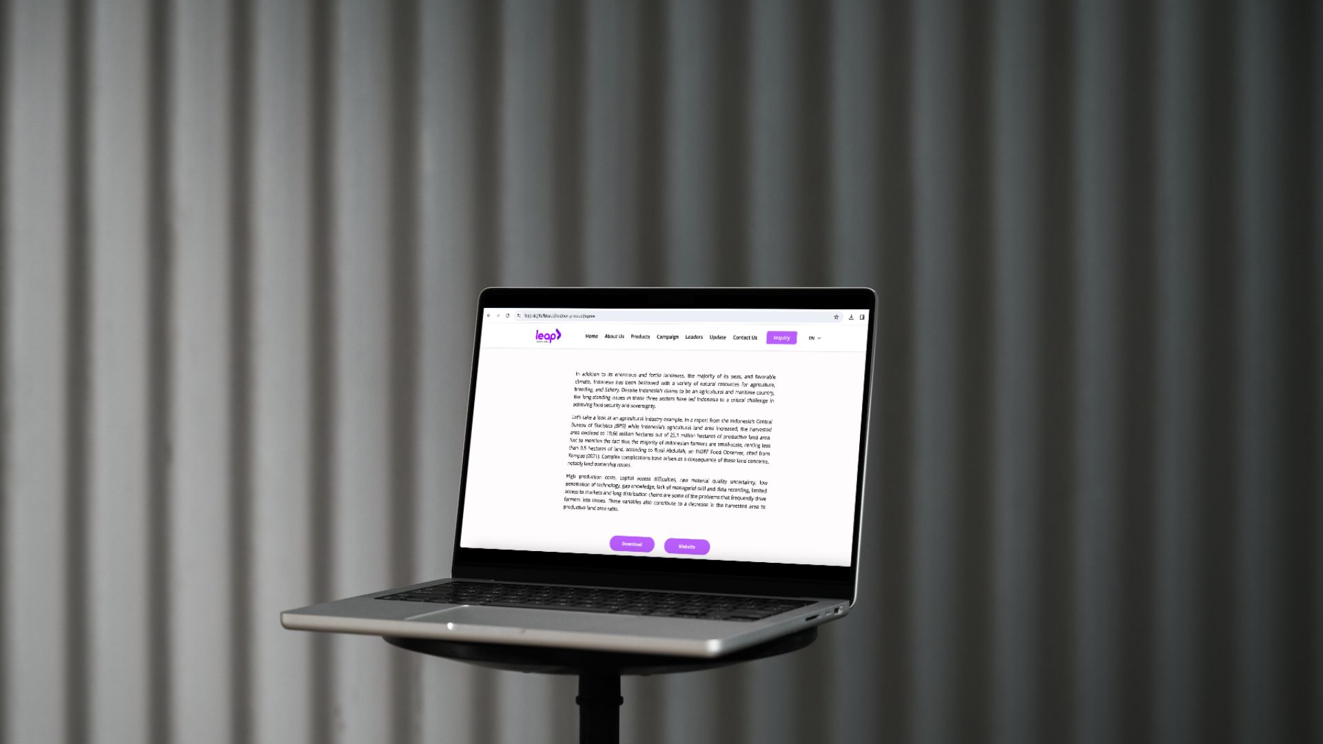 Leap Article Writing